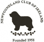 newfoundland-ireland