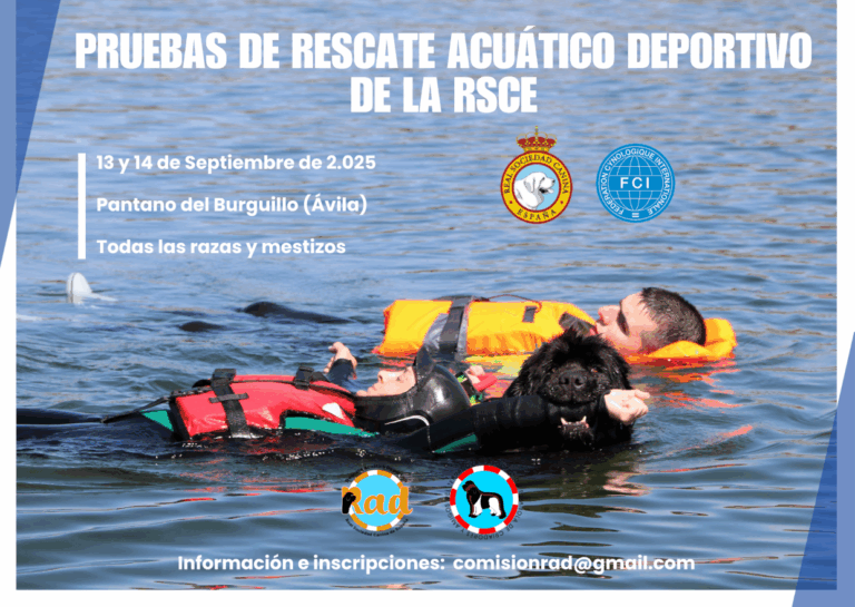 Pruebas rescate acuático deportivo