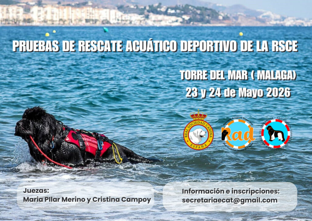 Curso de Iniciación al Rescate Acuático Deportivo