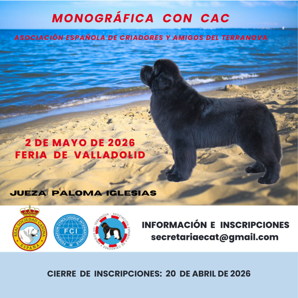 monográfica con CAC Valladolid 2026